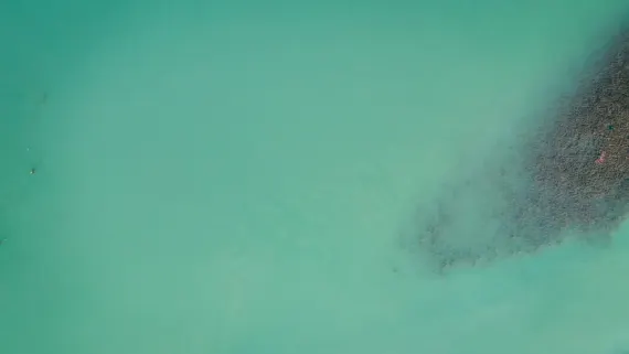 Casino Lucky Luke Tacaíocht